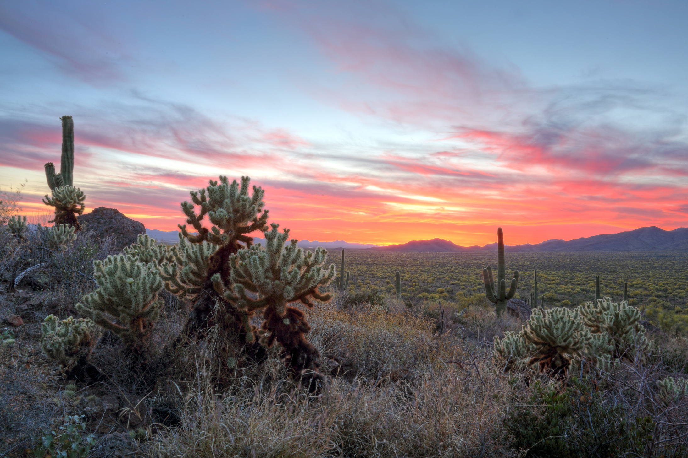 Vibrant Sonoran Desert Sunset